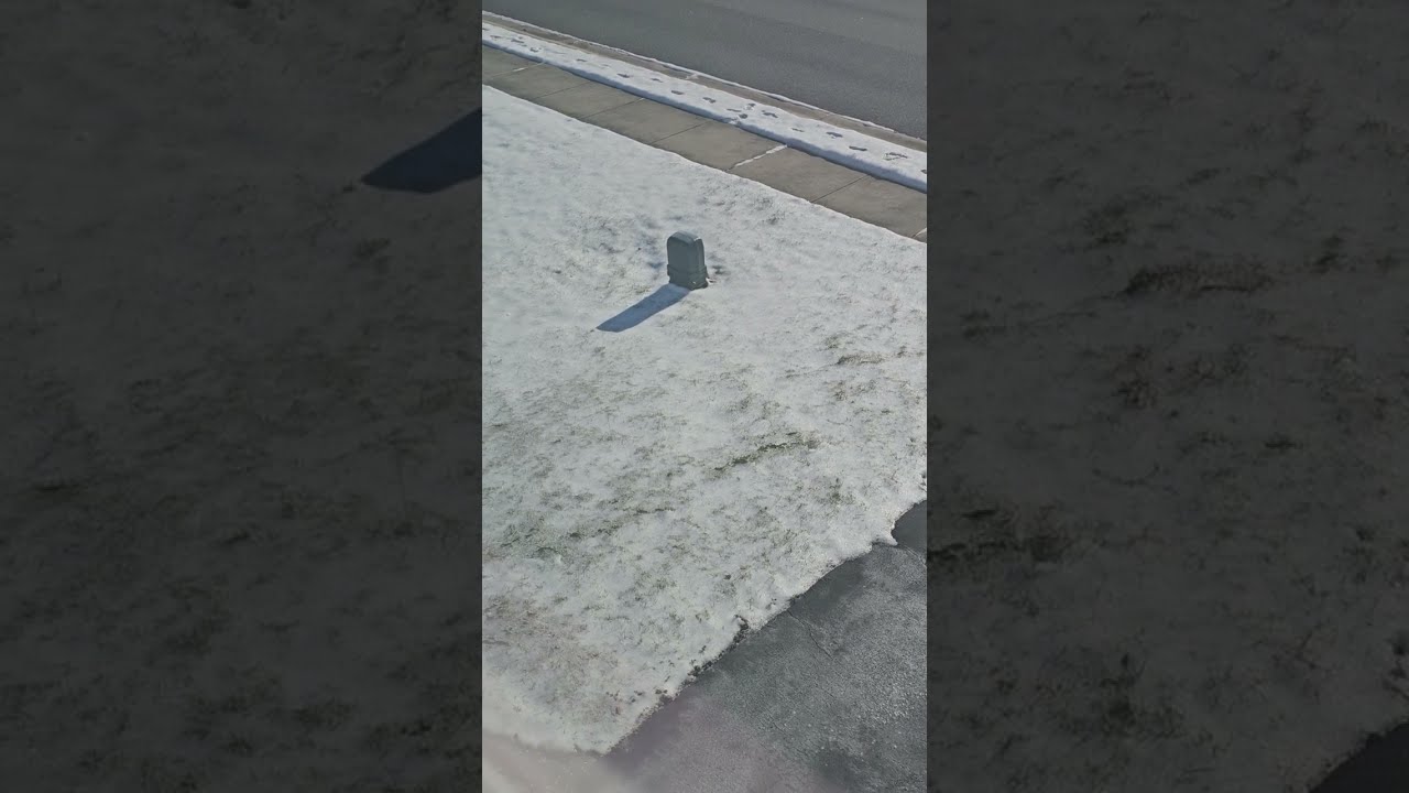 Winter Is Here Lawn Status | Lawn Care| Lawn Solutions