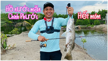 Câu cá hồ nước mặn Chính Phước để chống móm ( 2022 )