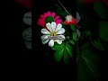 একাকীত্ব রয়ে যায় কেন 😏🥀#short#shortvideo #shortvideo #sad #sedcaption #caption #sadmood