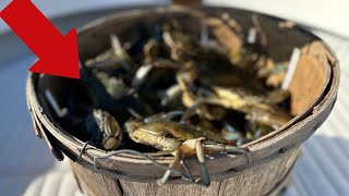 My last bushel of the year? Trotline Crabbing is OVER?