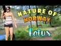 VLOG 335 || INTO THE WOODS #norway #birds #europe