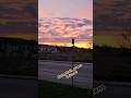 Birds, Snail, Greens &amp; Sunset #nature #mothernature #mothernaturesbeauty #naturephotography