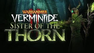 Новый эльф (сестра шипа). Обзор героя + Билд! Warhammer Vermintide 2