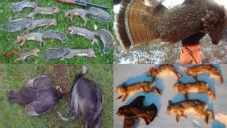 Epic Small Game Hunting - 70+ Kill Shots - Squirrels, Rabbits, Grouse, Pheasant, Turkey, and More