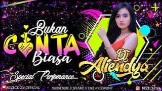 FUNKOT BUKAN CINTA BIASA - DJ ALIENDYA TERBARU SPECIAL REMIX 2021