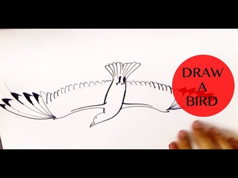 HOW TO DRAW A BIRD STEP BY STEP - FLYING BIRD - - YouTube