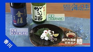 2017年 #2 ＡＭＡＺＯＮ父の日企画| 海と日本PROJECT in かがわ