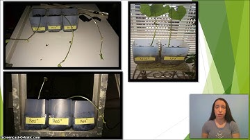 Google Science Fair Summary Video