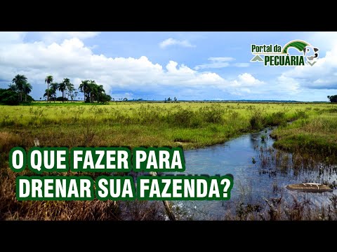 Vídeo: O que é um dreno de área?