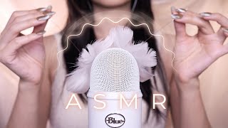 ASMR Your Brain is Fluffy Like Cloud | Cozy Brushing, Squishy Triggers for Sleep  (No Talking)
