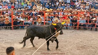 EL SÁDICO EN LA LUZ TEXAS GUANAJUATO vs GERRY DE NAYARIT Los Destructores 20 mayo 2026 | Jaripeo
