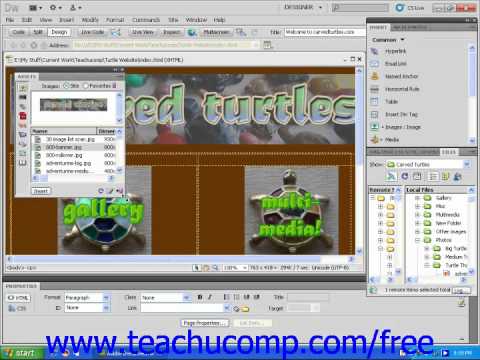 Dreamweaver CS5 Tutorial Site Assets Adobe Training Lesson 12.1