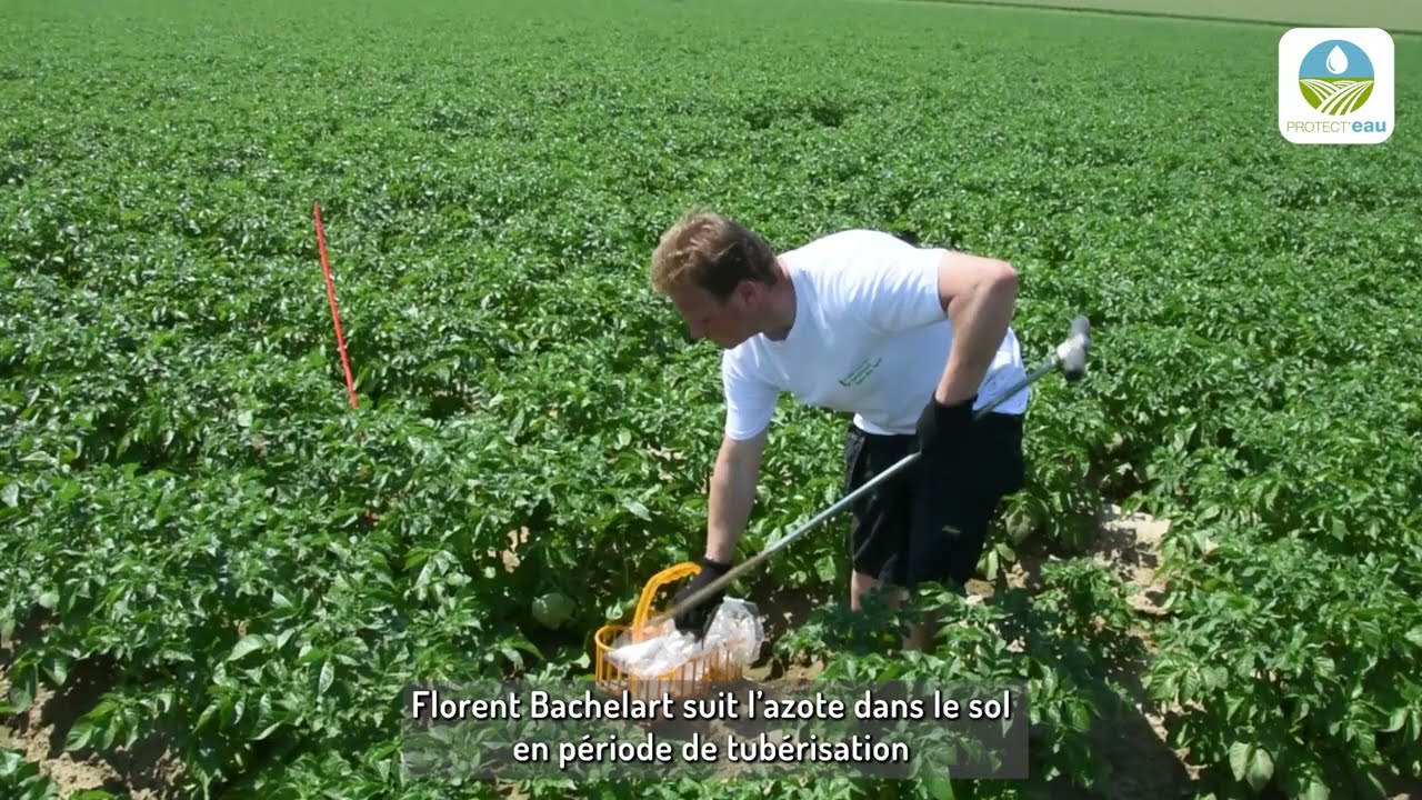 Le fractionnement en pomme de terre