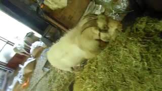 CIMG0672