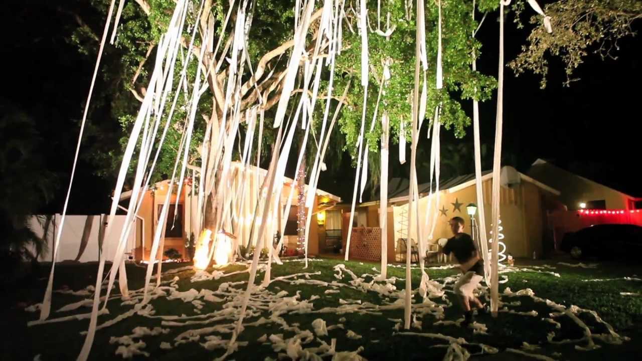 Astounding Origin Of Toilet Papering Houses Images - Exterior ideas ... Astounding Origin Of Toilet Papering Houses Images - Exterior ideas ...