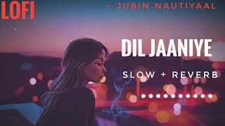 Lofi Lyrics - Dil Jaaniye | Jubin Nautiyaal | Slow And Reverb
