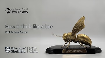 How to think like a bee with Professor Andrew Barron