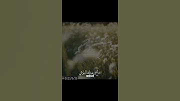 ستوريات دينيه // وهزي إليك بجدع النخلة تسـٰقط عليك رطبا جنيا // آيات قرانية قصيرة /ستوريات انستقرام