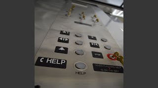 High Class Music for Empty Elevators