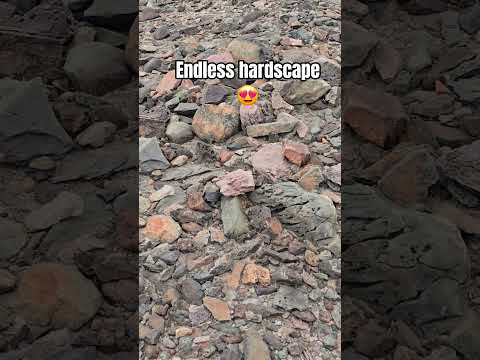 Gathering hardscape