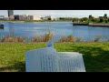 浜辺の読書時間　in 大森ふるさとの浜辺公園