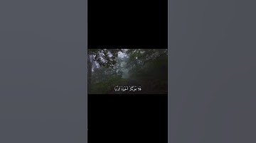 {فَلَا تَغُرَّنَّكُمُ الْحَيَاةُ الدُّنْيَا} تلاوة خاشعة لفضيلة الشيخ ماهر المعيقلي من سورة فاطر