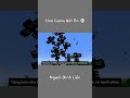 Mọi Thứ Đều Trở Thành Sinh Đôi #shorts #minecraft