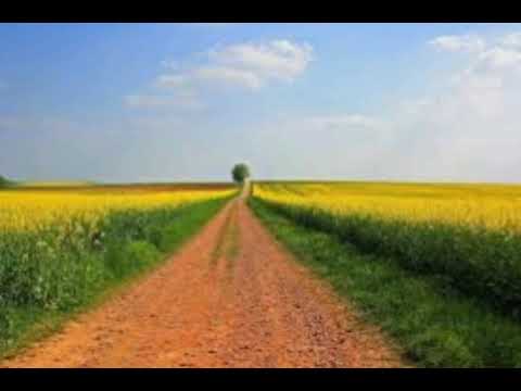 יוסף קרדונר אילו היה לי רבי כמו שלכם 