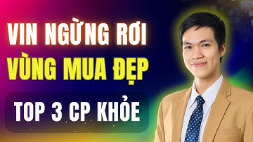 Thị Trường Đáy Lớn Đã Xuất Hiện! 3 Cổ Phiếu Cần Mua Ngay