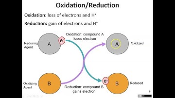 Chapter 8 part 1 Microbiology OER