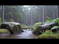 Tranquil River Water Flow for Peaceful Sleep