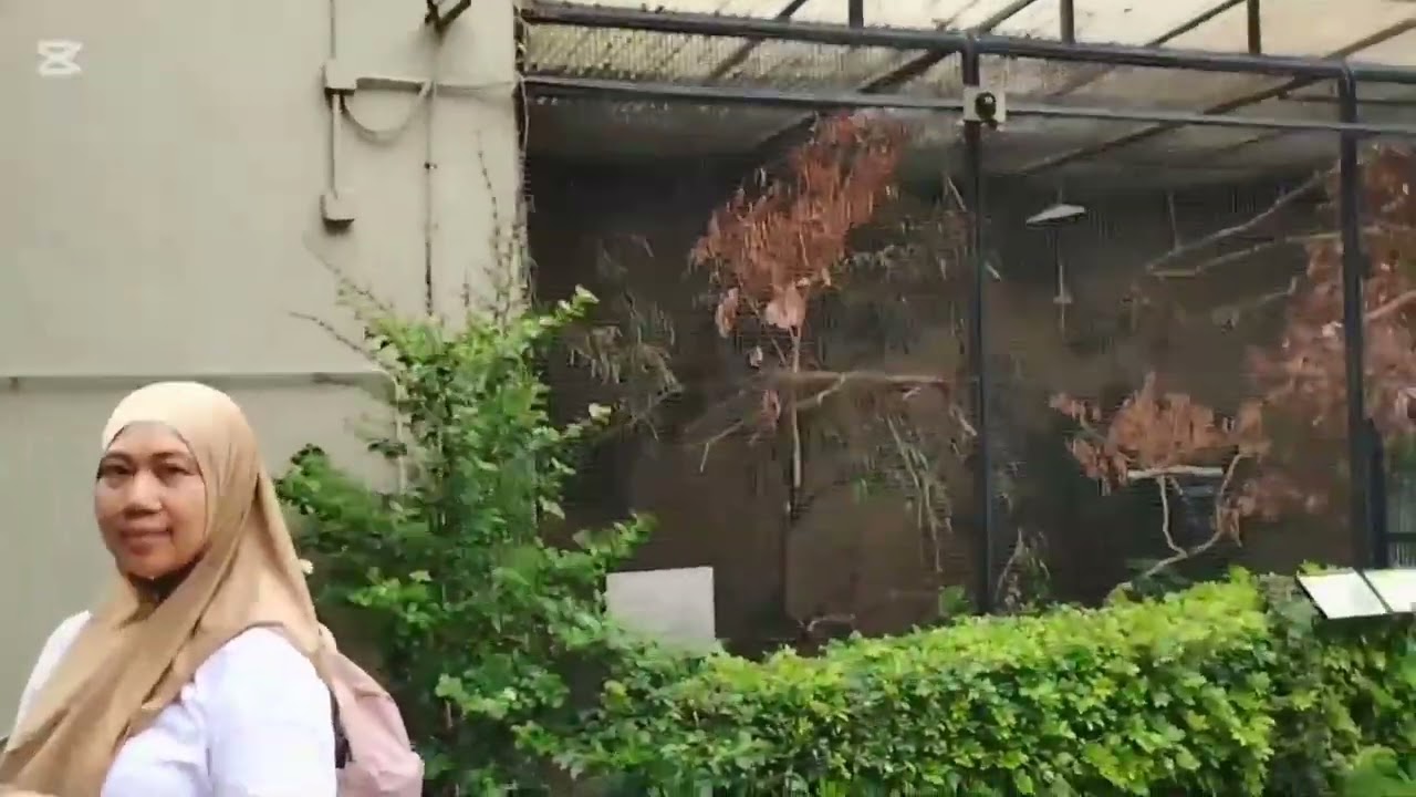 Jejak Petualangan Hari ini