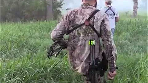 Bowhunting Wild Hogs in Okeechobee, Florida