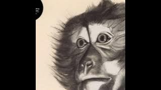 Zero Boys - Monkey - 2014 (FULL ALBUM)