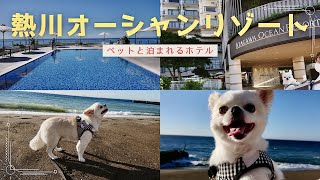 ペットと泊まれるホテル「熱川オーシャンリゾート」全室オーシャンビューで眺め最高なホテル!〜愛犬の駅でのハプニング?!#ペットと泊まれるホテル #ペットと泊まれる宿 #熱川オーシャンリゾート