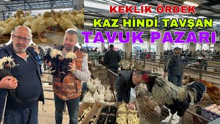 TÜRKİYE BU TAVUK PAZARINI KONUŞUYOR