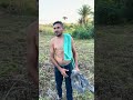 Vida na roça