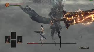 DS3 - Nameless King - SL1 NG+7 No Sprint/Roll/Block/Rings/Buffs/Damage