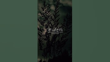 تلاوة خاشعة للقارئ ياسر الدوسري || سورة النحل : {127 - 128} | #القرآن_الكريم