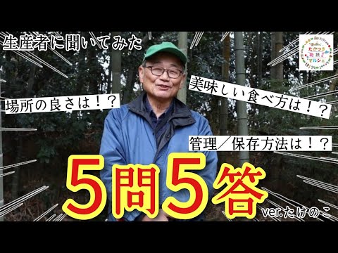 【質問】たけのこ生産者に聞いてみた