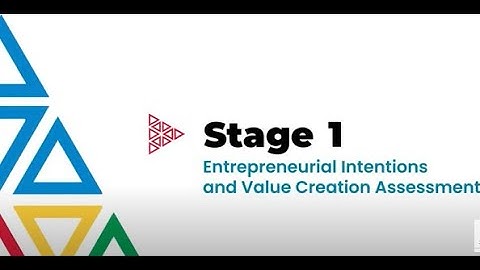 Stage 1  Entrepreneurial Intentions and Value Creation Assessment
