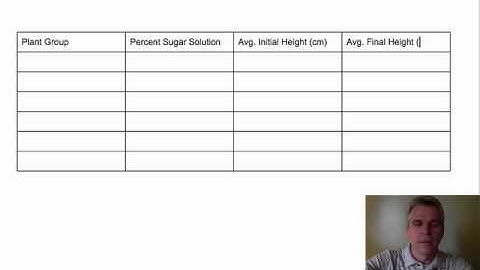 Making a Data Table in Google Docs