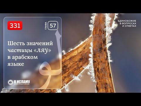 331. Глава 57. Шесть значений частицы «ЛЯУ» в арабском языке. Единобожие в вопросах и ответах