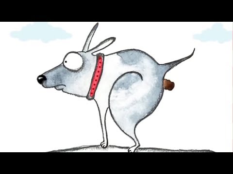 Vídeo: Como deve ser o cocô de meu cachorro?