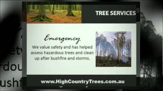 Welcome to High Country Tree Services!