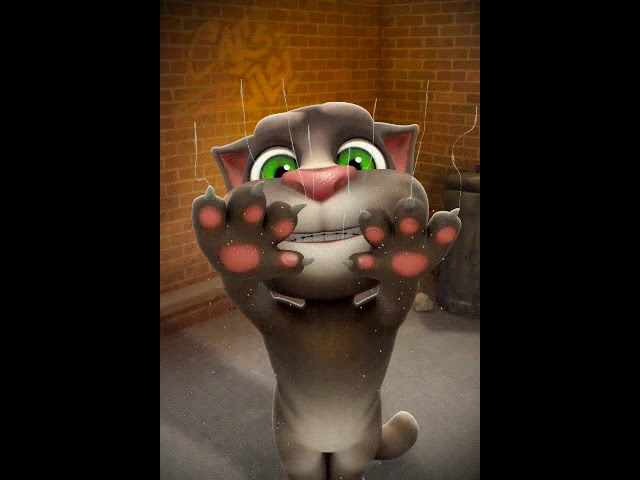 Talking Tom and I made an awesome video together! You can make your own super cool videos with his a class=