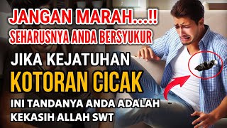 JANGAN MARAH...!! JUSTRU ANDA HARUS BERSYUKUR JIKA KEJATUHAN KOTORAN CICAK, ITU TANDA KEKASIH ALLAH