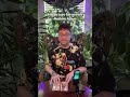 #toughlovetarot with #madamadam