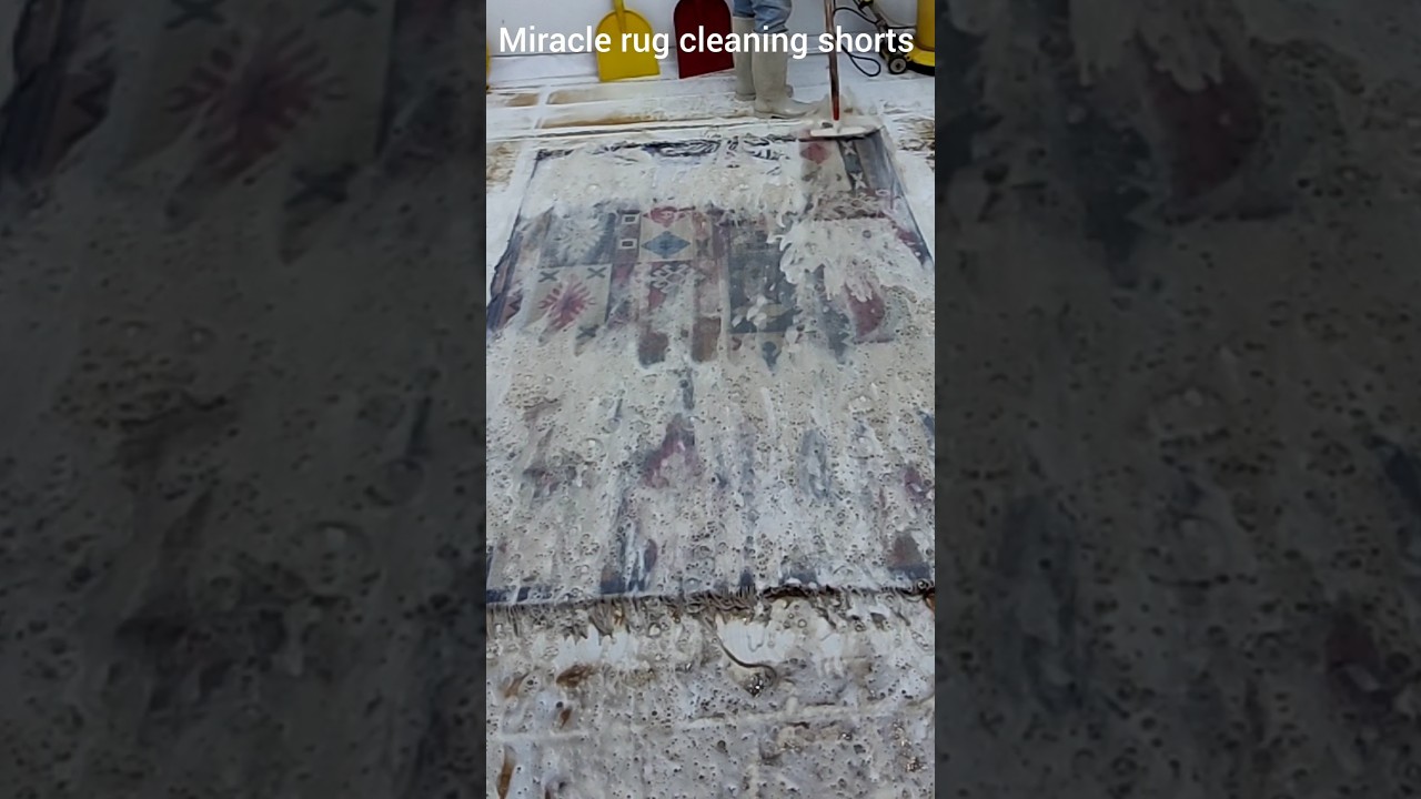 Dirty Rug? EXPERT Reveals SHOCKING Deep Cleaning Secrets!