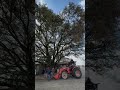 “This old live oak has watched our family, this farm, and a whole lot of life go by.”